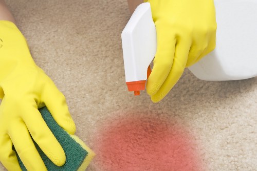Regular cleaning routine for a tidy and healthy living space