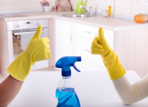 Professional house cleaning tools and supplies