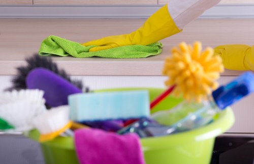Domestic cleaning essentials in a tidy modern home