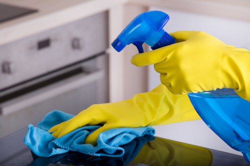 Different oven cleaning methods and supplies