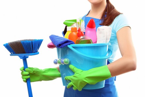 Kitchen and bathroom domestic cleaning supplies arranged neatly