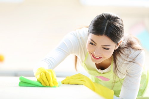 Move in cleaning service preparing a spotless kitchen