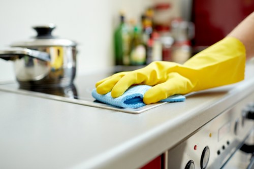 Professional oven cleaning process in progress